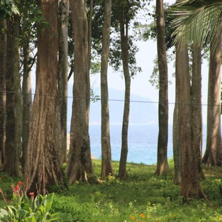 Pearl Park Beach Resort-Neil Island Lakshmanpur Экстерьер фото