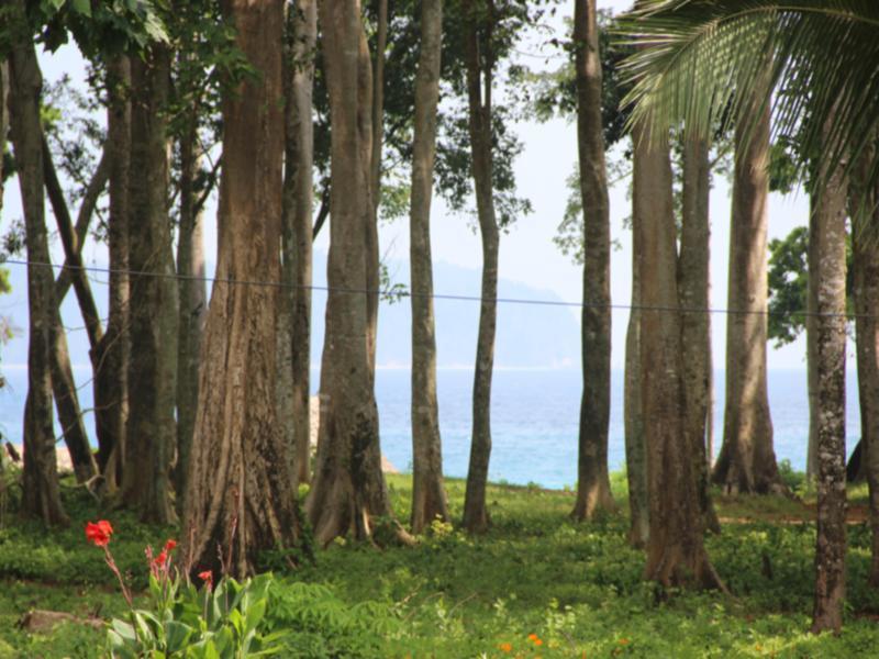 Pearl Park Beach Resort-Neil Island Lakshmanpur Экстерьер фото